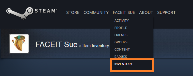 Steam inventory - free CSGO skins